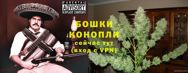спайс Арсеньев