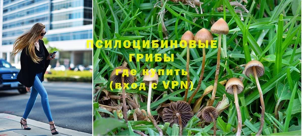 спайс Арсеньев